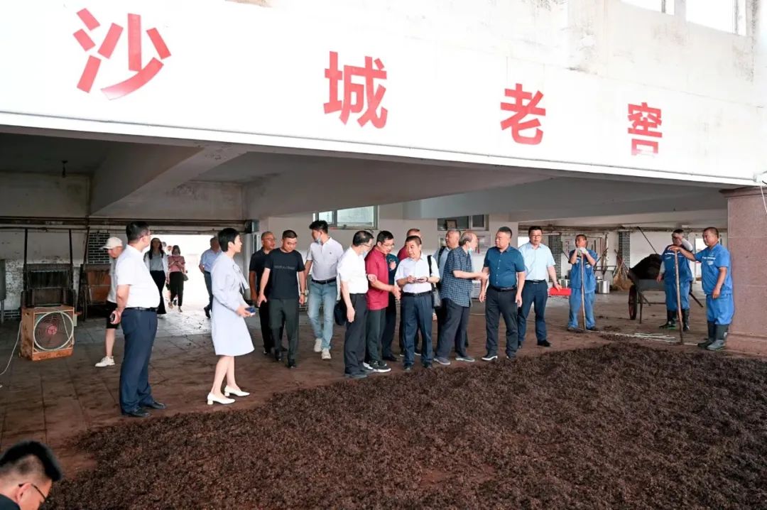 国家级专家齐聚，沙城开启发展加速度