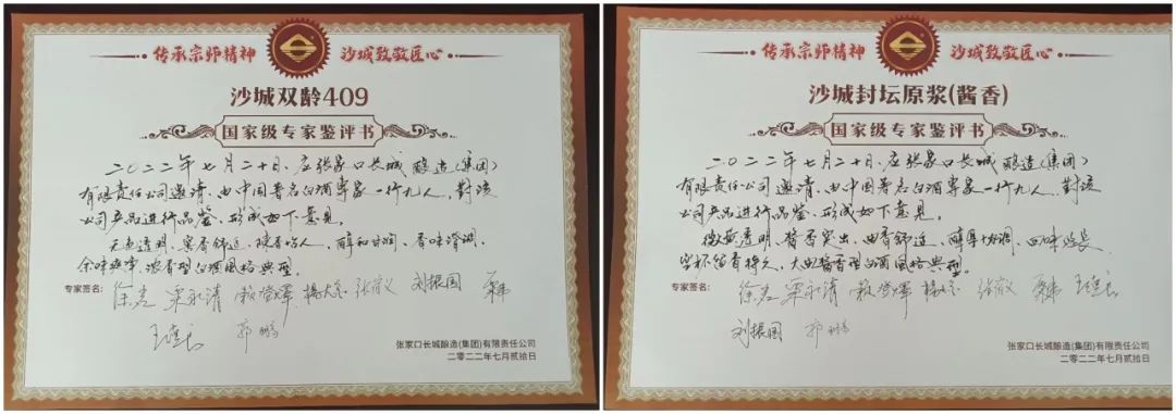 国家级专家齐聚，沙城开启发展加速度