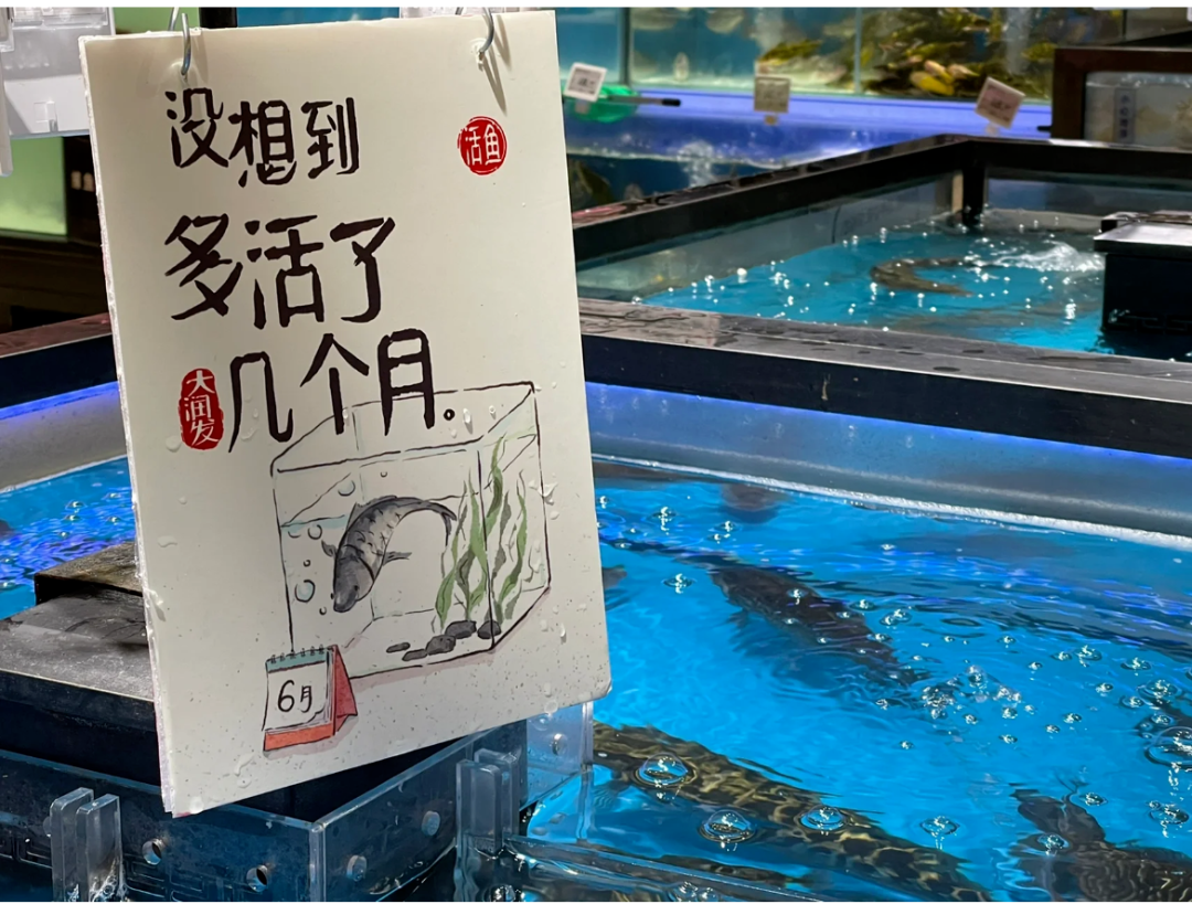 瑞幸x“孤寡”蛙,蜜雪冰城黑化……这些赢麻的品牌是如何卷死营销人的?