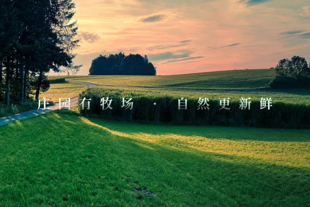 12家乳业发布年中业绩预告,大部分同比下降,原因是…