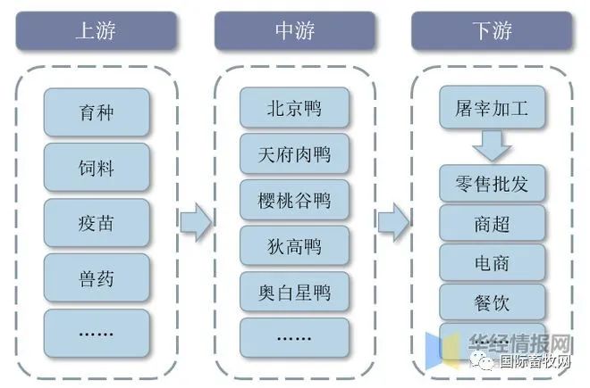 全球及中国肉鸭行业发展现状:市场低迷,产能过剩问题严重!