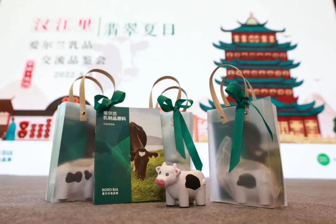 【特别关注】首次与中国华中区域行业内人士交流，爱尔兰食品局做了些什么？