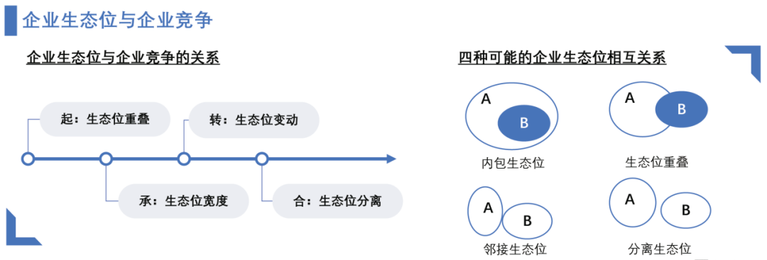 科特勒彭玉洁:浅谈企业与品牌生态位
