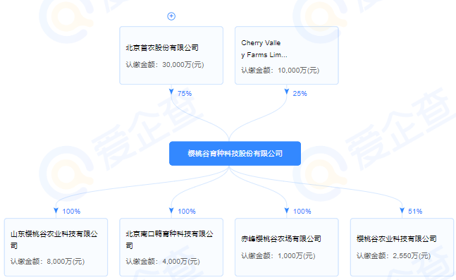 全球最大肉鸭品牌樱桃谷冲刺主板IPO上市