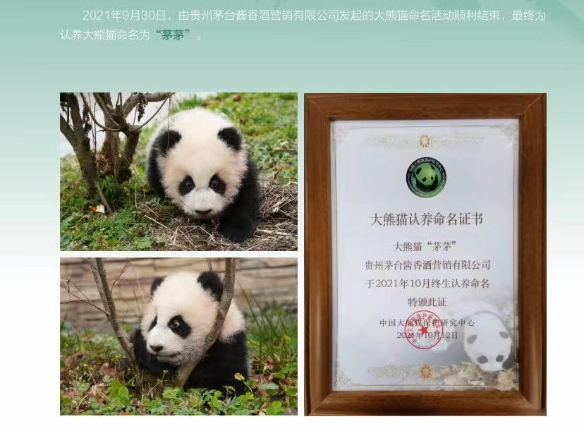 美美与共，1岁“茅茅”升级茅台酱香公益新解答？