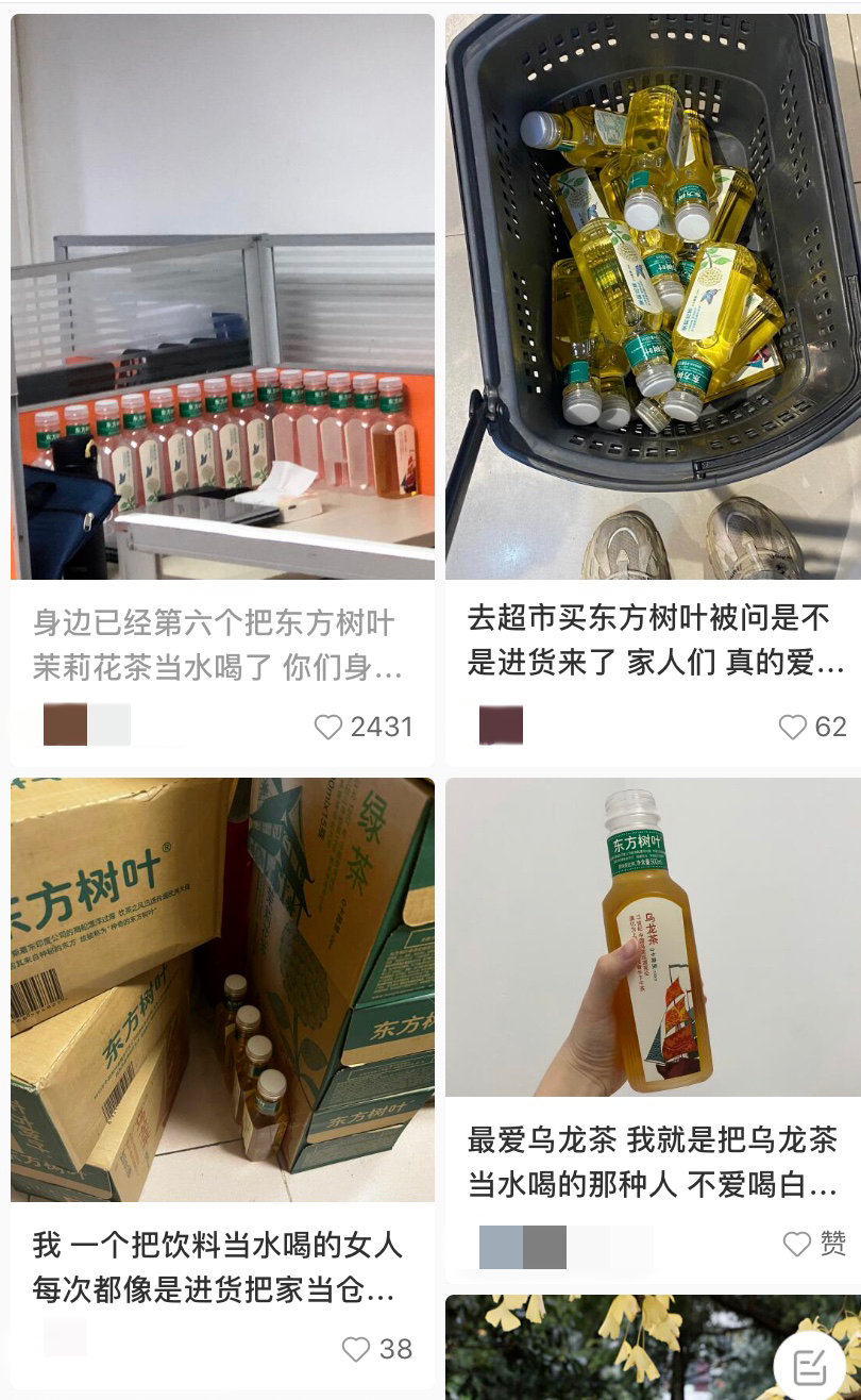 同比增长70%！市场疲软之下东方树叶为啥还能成为“尖子生”？