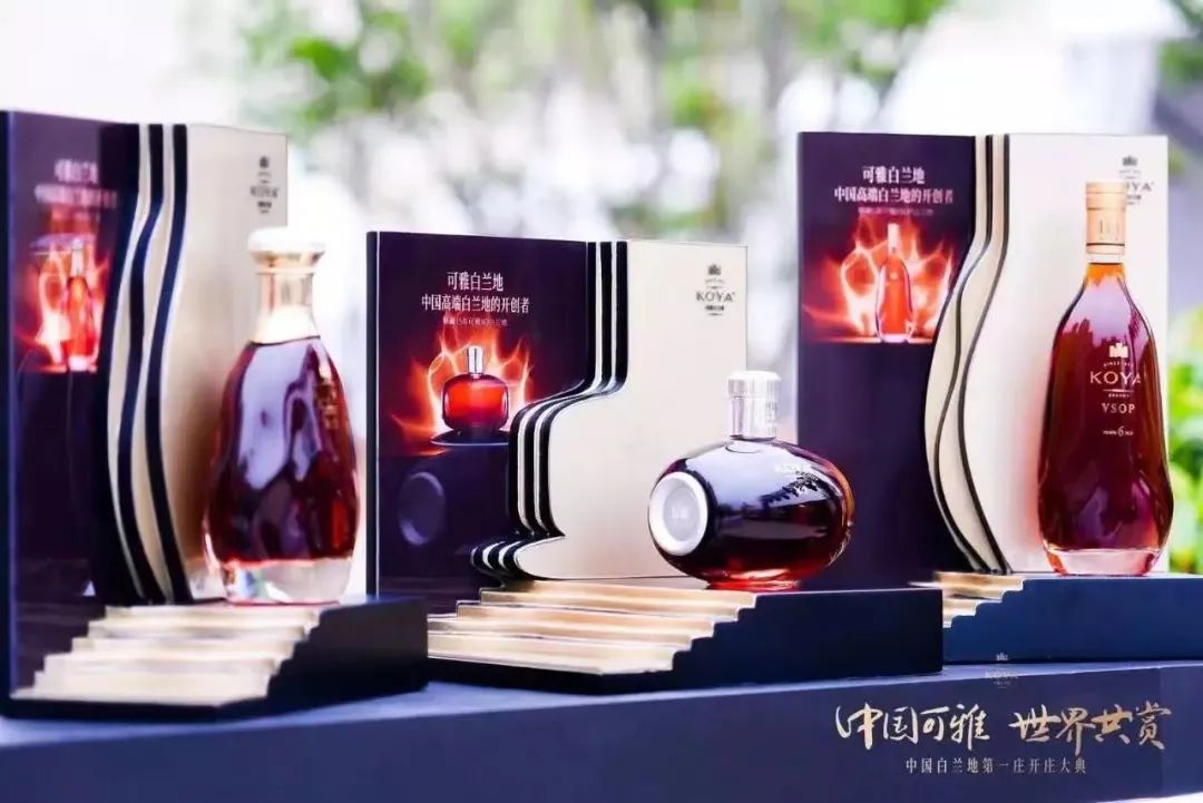 近20亿营收！张裕半年报发布，行业应该“看什么”？