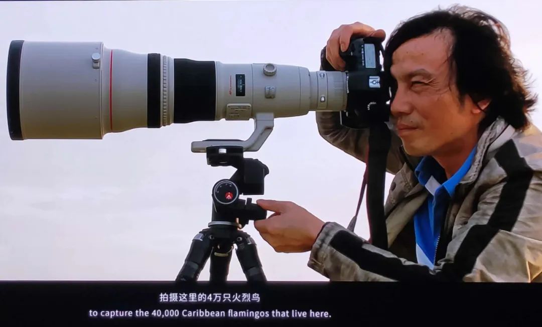 好利来往事
