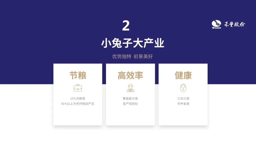禾丰董事长金卫东：期待肉鸡业继续辉煌，兔业后来居上