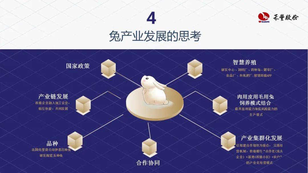 禾丰董事长金卫东：期待肉鸡业继续辉煌，兔业后来居上
