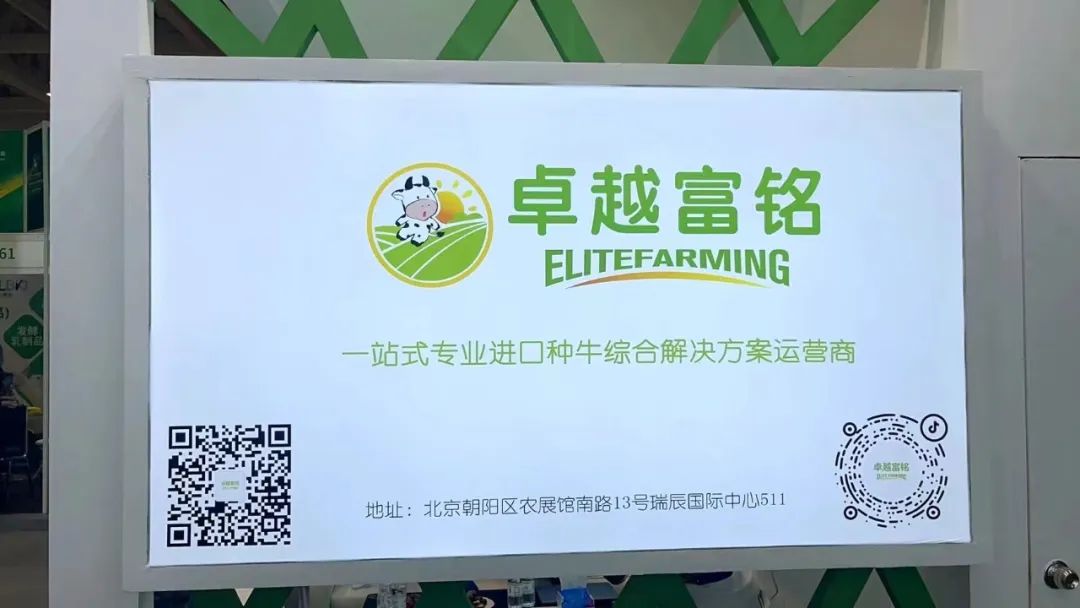 打造进口种牛全流程服务品牌，“‘牛’到家了”亮相中国奶业大会！