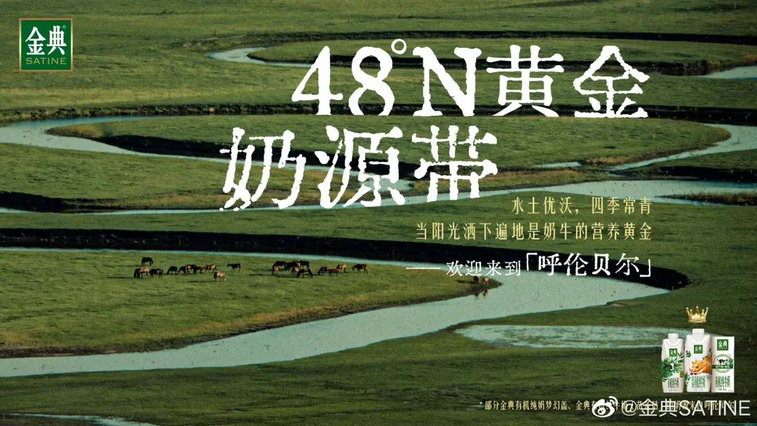 看完金典“好牛三部曲”，居然开始羡慕一头牛