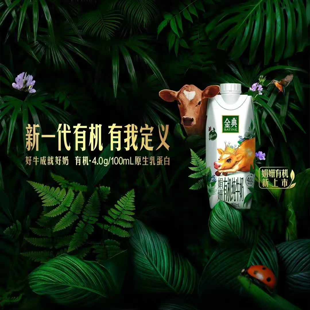 看完金典“好牛三部曲”,居然开始羡慕一头牛