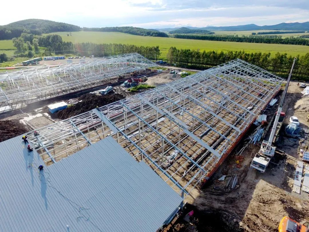 寒疆牧业万头牧场项目建设任务持续“加码”，总体进度完成75%