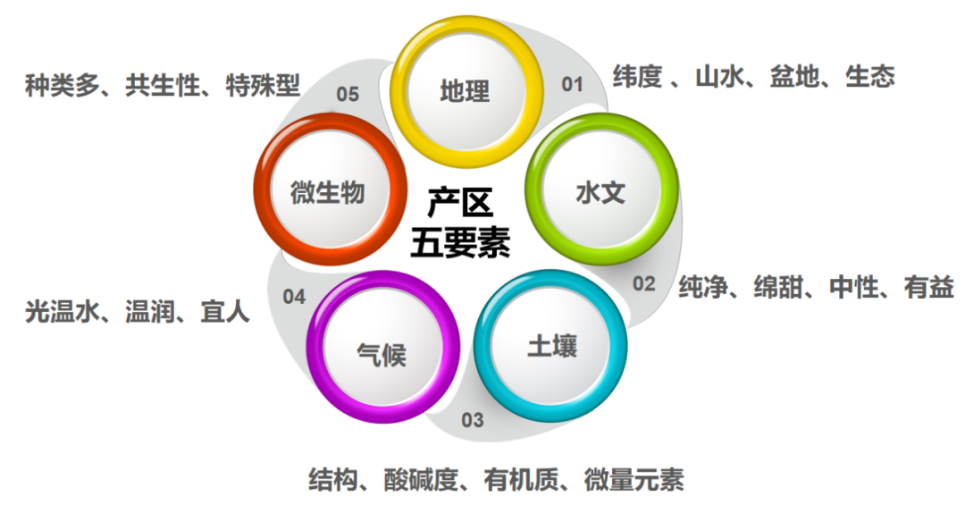 走进陕西宝鸡凤香核心产区，七大视角揭示凤香的终极奥义