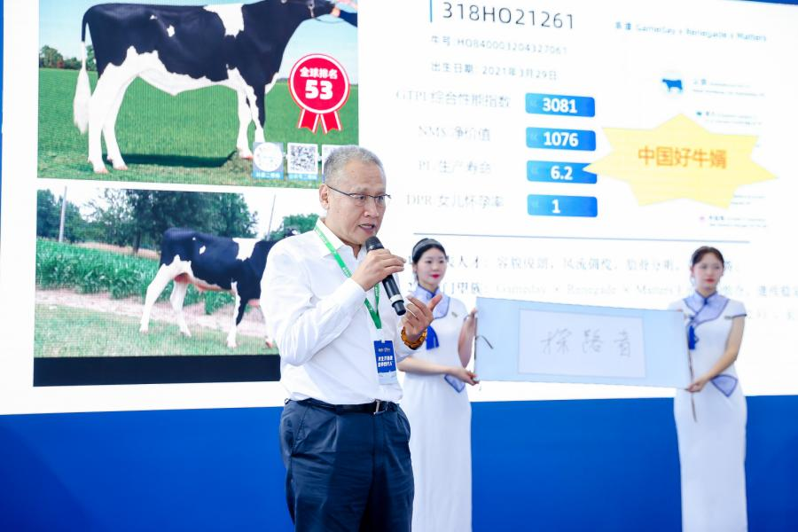 中国的牛，用中国种！君乐宝优秀种牛成功命名