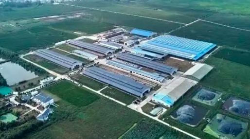 卫岗携多款爆品亮相中国奶业大会！