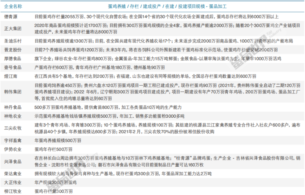 2022年中国市场蛋鸡企业50强榜单重磅发布