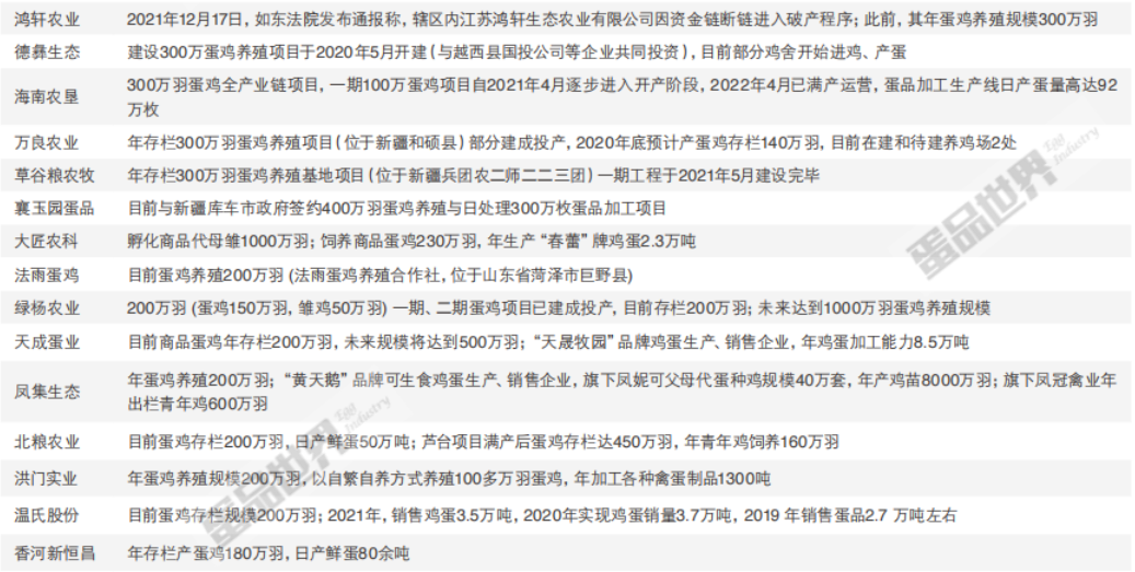 2022年中国市场蛋鸡企业50强榜单重磅发布