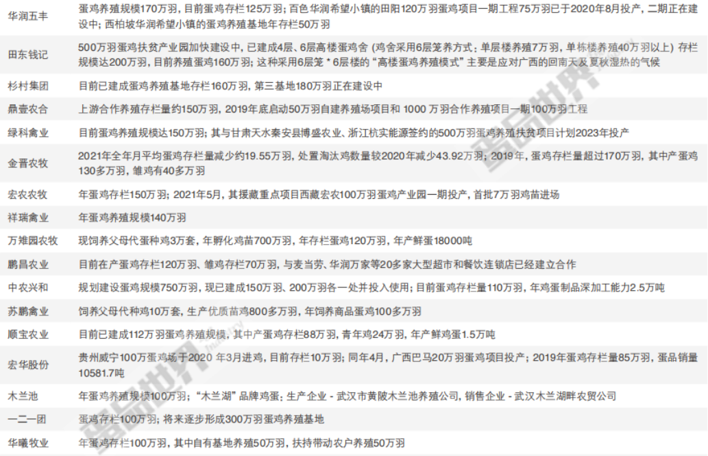 2022年中国市场蛋鸡企业50强榜单重磅发布