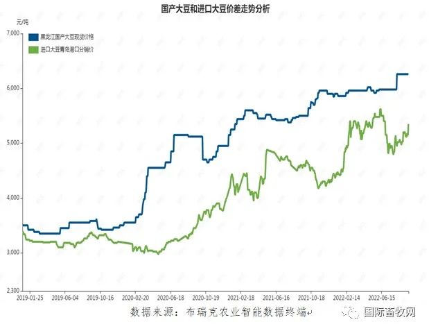 除了中国,非转基因大豆生产遍布全球 去年中国进口150万吨
