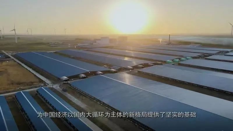 中国乳业高质量发展,底气何来?