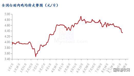 全国白羽肉鸡鸡苗、毛鸡跌势明显,但大可不必过度悲观