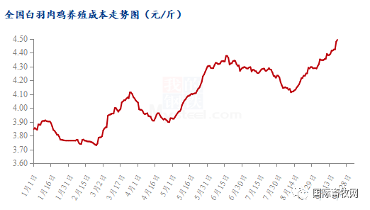 全国白羽肉鸡鸡苗、毛鸡跌势明显,但大可不必过度悲观