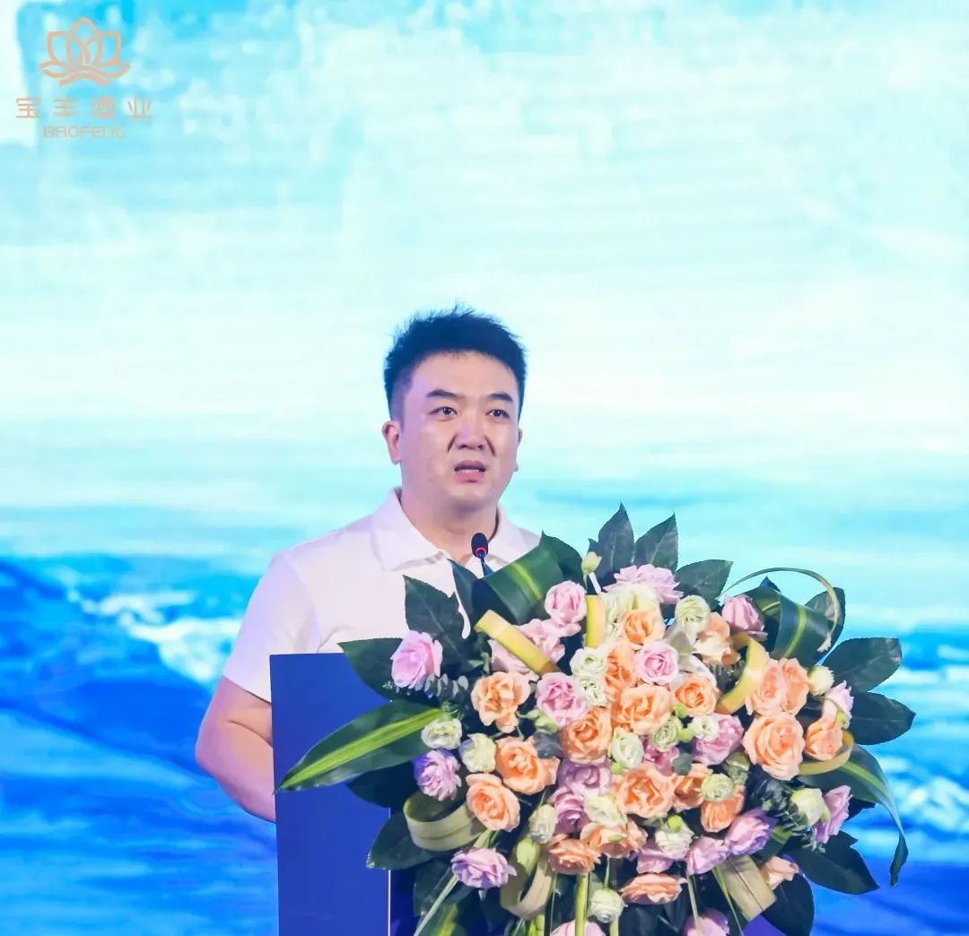从宝丰的增长,看清香酒的发展路径
