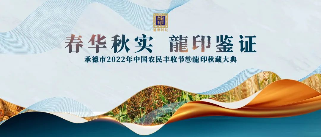 明天!农民丰收节+龍印秋藏大典,板城IP的强进阶!