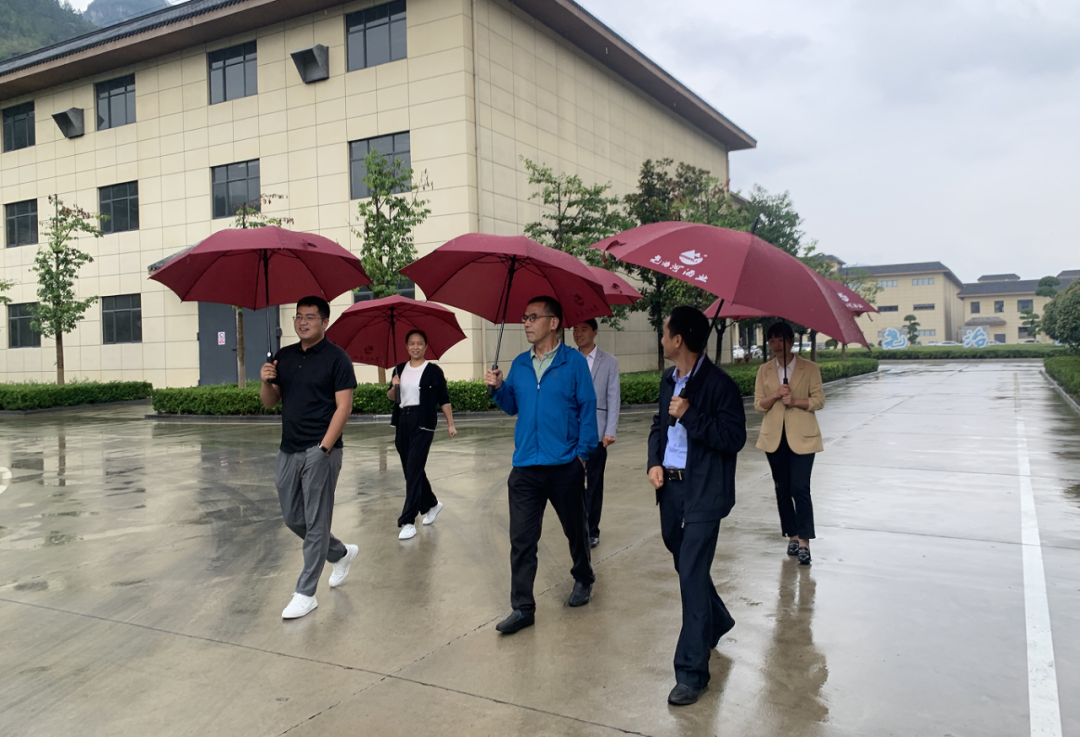 湖北省酒业协会秘书长程志勇一行考察调研尧治河酒业