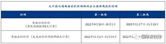 鸡肉产品一斤涨了一两元 养殖企业盈利仍在养殖成本线徘徊
