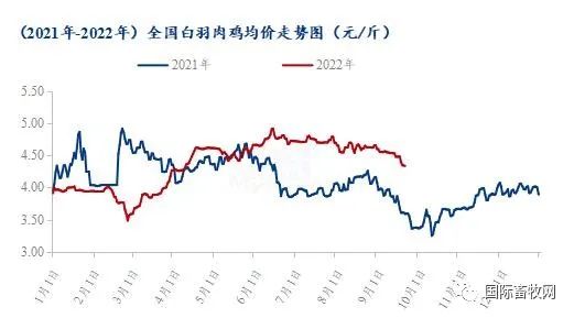 鸡肉产品一斤涨了一两元 养殖企业盈利仍在养殖成本线徘徊