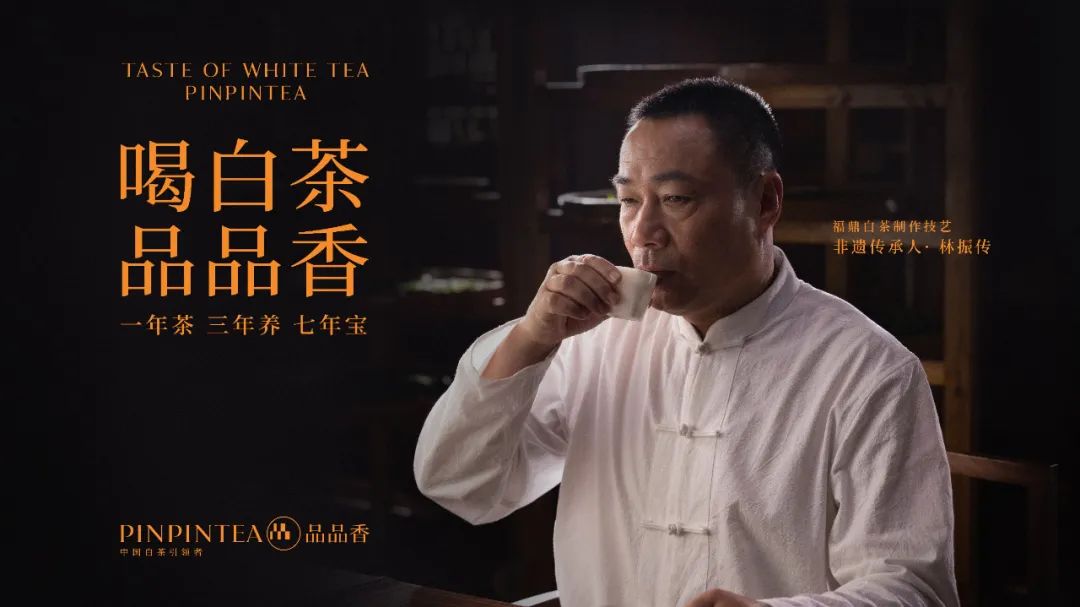 林振传：让世界品味中国，做中国白茶引领者