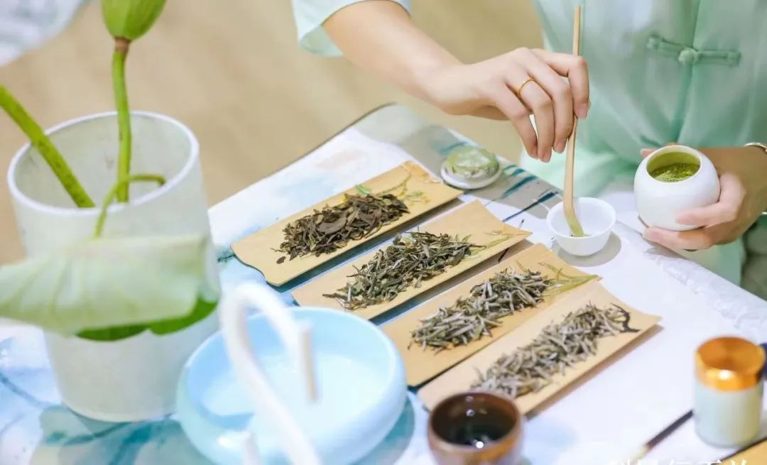 林振传：让世界品味中国，做中国白茶引领者