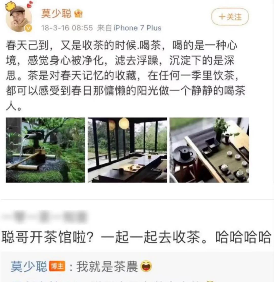 明星的归宿是卖茶叶?