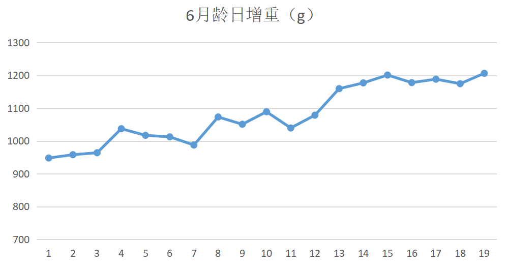 氨气对犊牛的影响及影响氨气浓度的主要因素