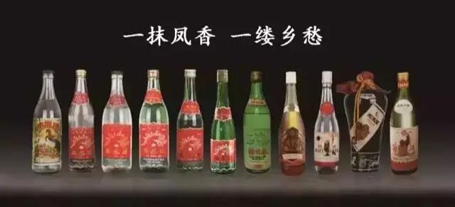 “老酒热＋名酒回归”的双风口下，西凤酒发起老酒征集令