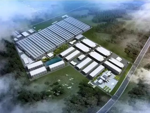 调整经营目标?水井坊总经理朱镇豪:完成目标具有挑战性,将灵活应对市场变化