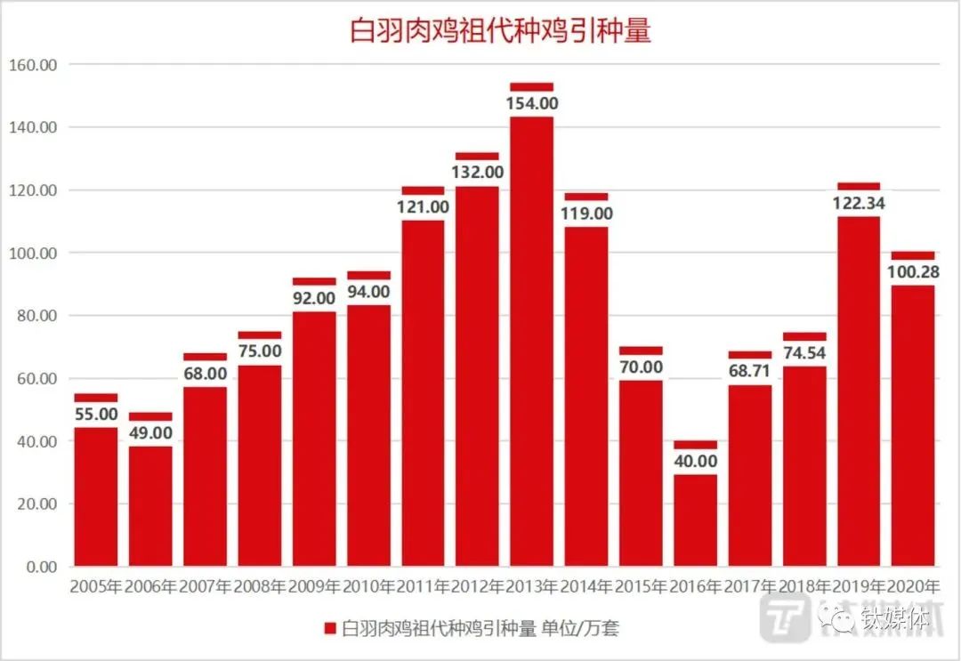 外来的白羽鸡,凭啥成了中国“鸡王”?