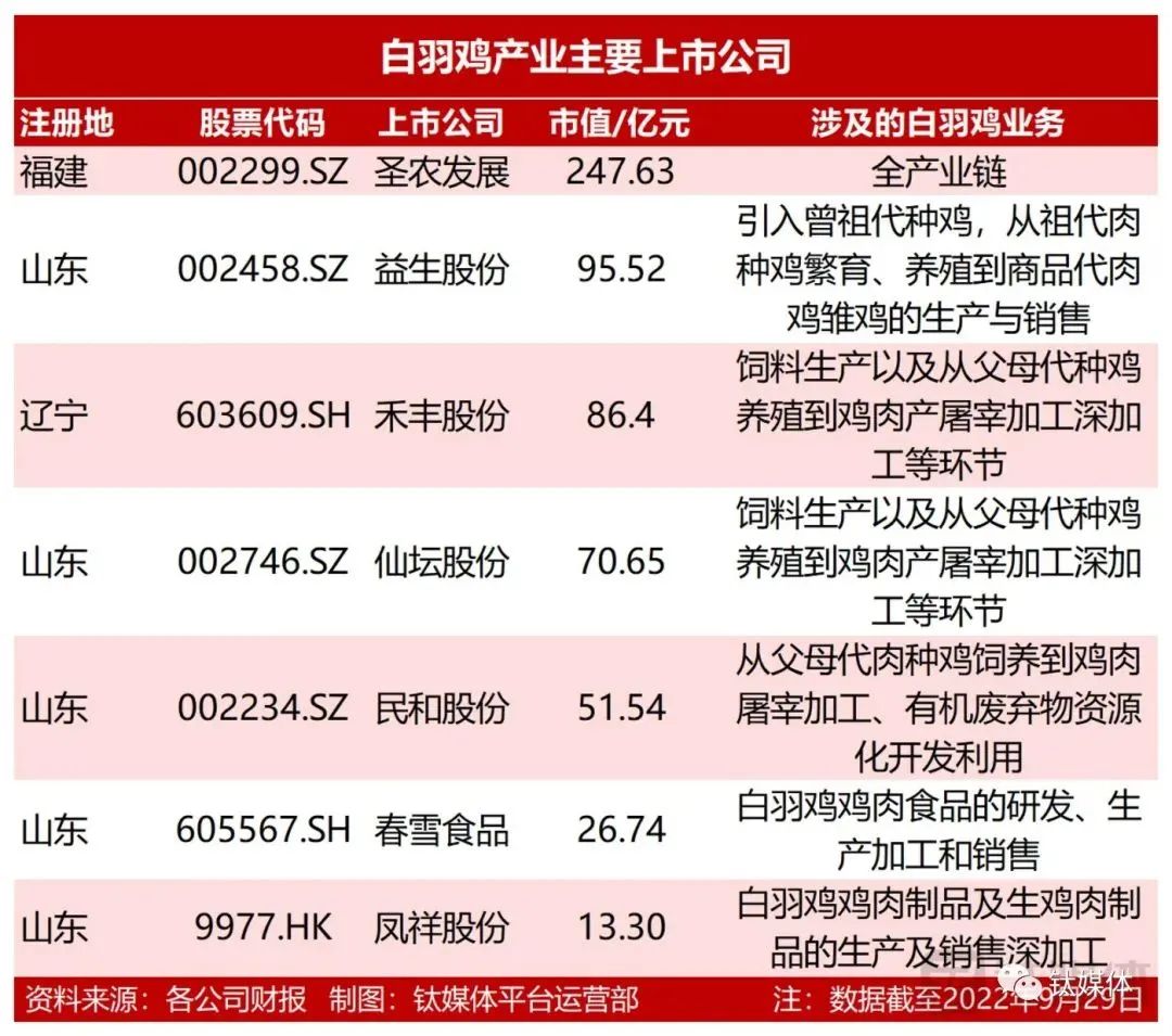 外来的白羽鸡,凭啥成了中国“鸡王”?