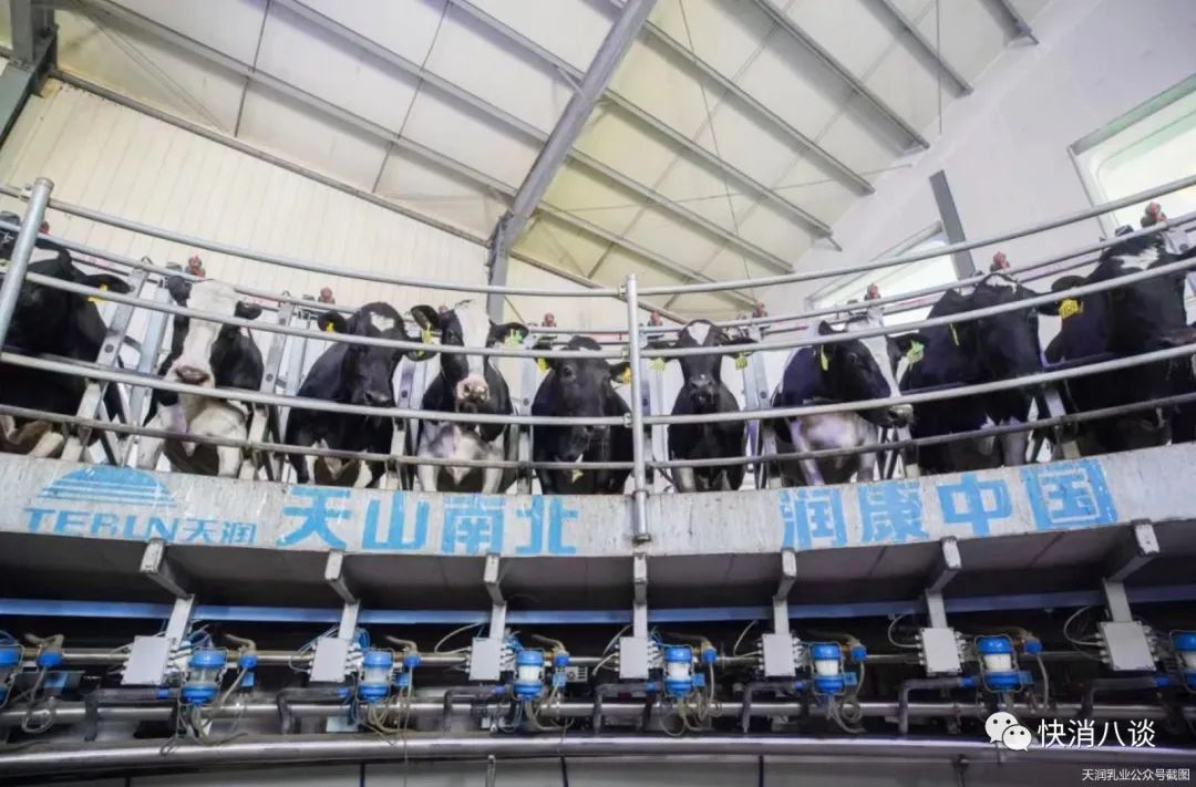 想要全国“出圈”？看看这些区域乳企都有啥差异化打法