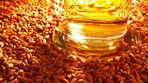 全球啤酒行业面临涨价潮