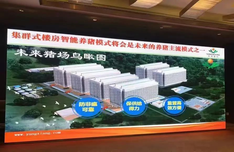 40亿投建26层大楼养猪,竟然是一桩暴利生意?