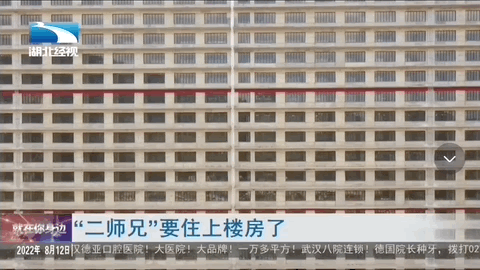 40亿投建26层大楼养猪,竟然是一桩暴利生意?