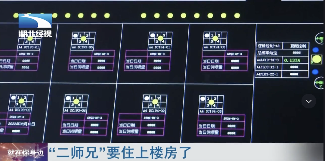 40亿投建26层大楼养猪,竟然是一桩暴利生意?