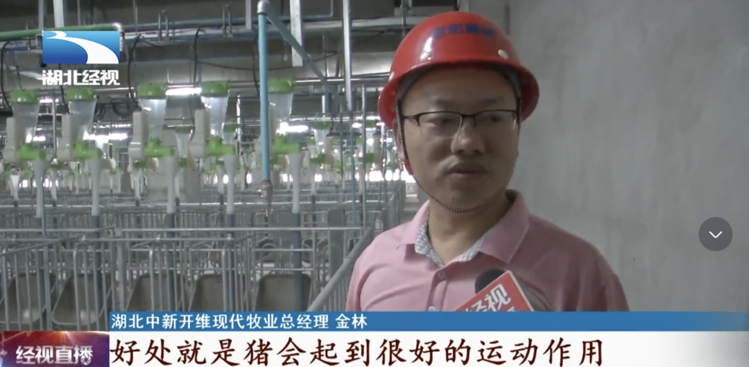 40亿投建26层大楼养猪,竟然是一桩暴利生意?