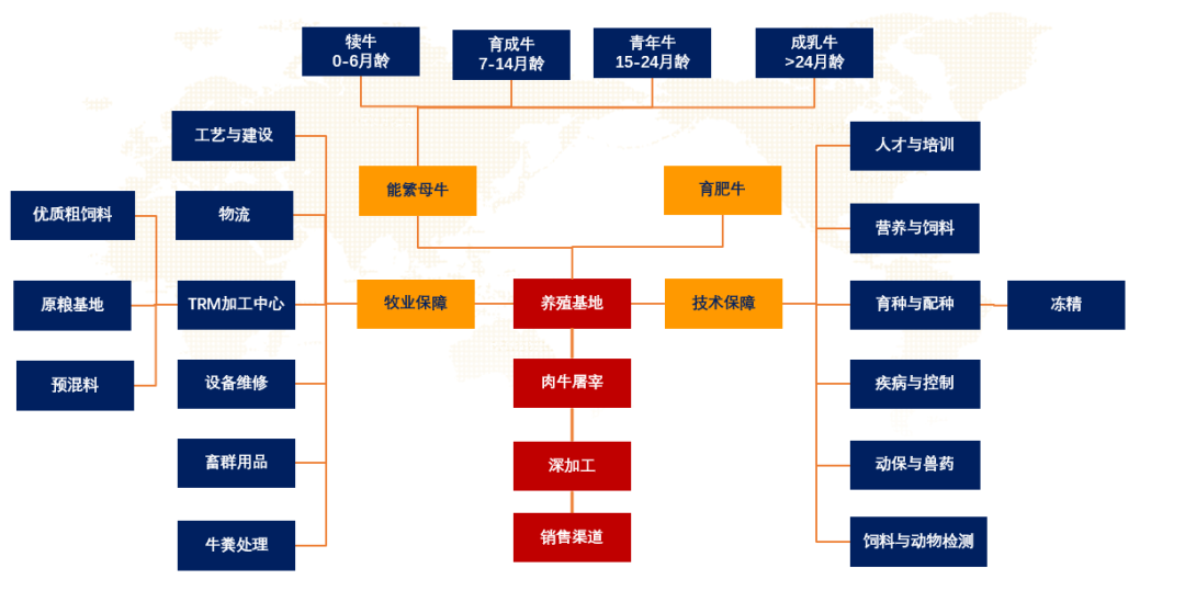 关于构建肉牛全产业链生态圈的几点思考
