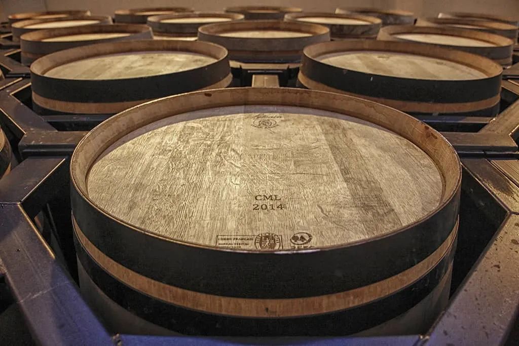 全球葡萄酒产业发展新趋势?可持续发展葡萄酒!