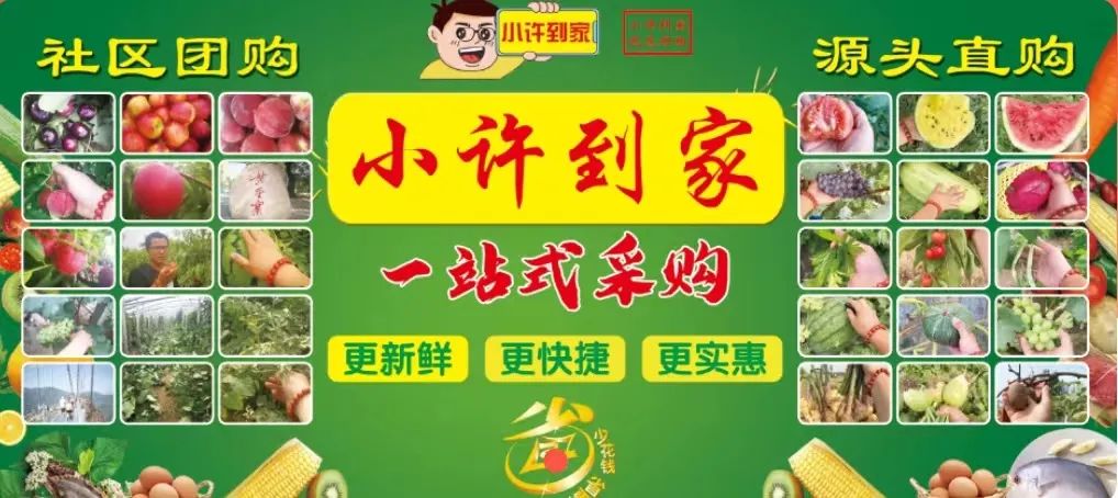 观察 | 社区团购的“大雪球”滚向何方？